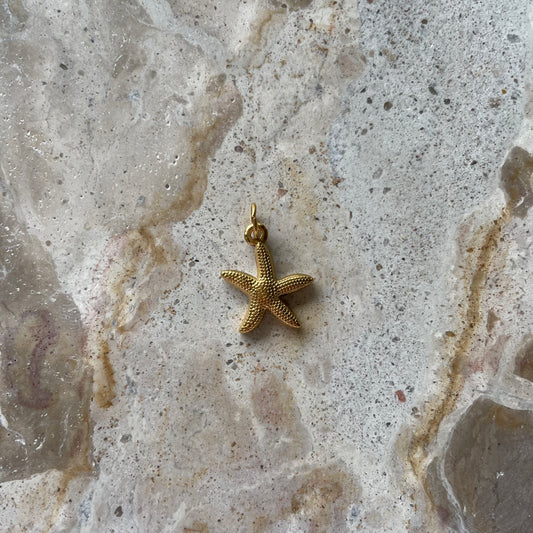 STARFISH CHARM